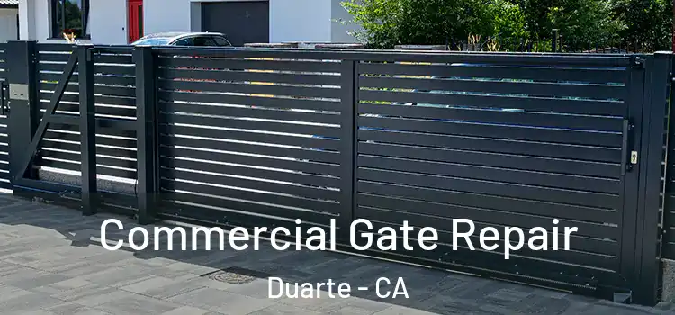 Commercial Gate Repair Duarte - CA