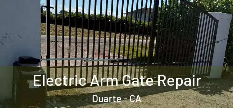 Electric Arm Gate Repair Duarte - CA