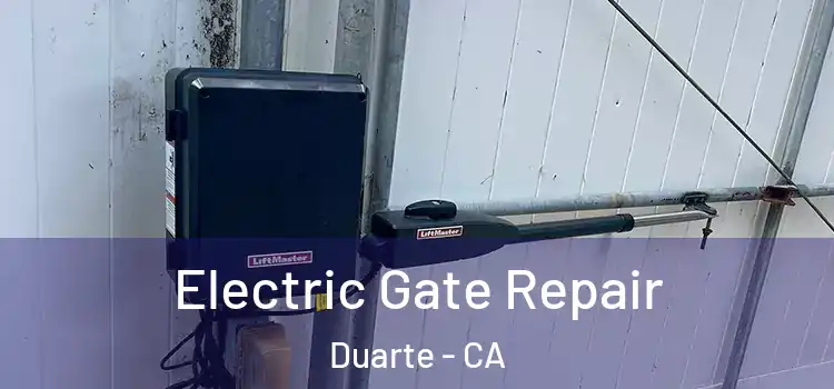 Electric Gate Repair Duarte - CA