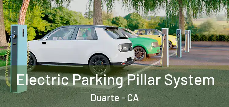 Electric Parking Pillar System Duarte - CA