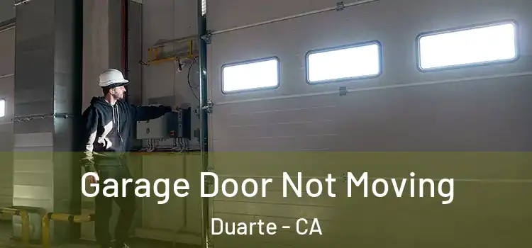  Garage Door Not Moving Duarte - CA
