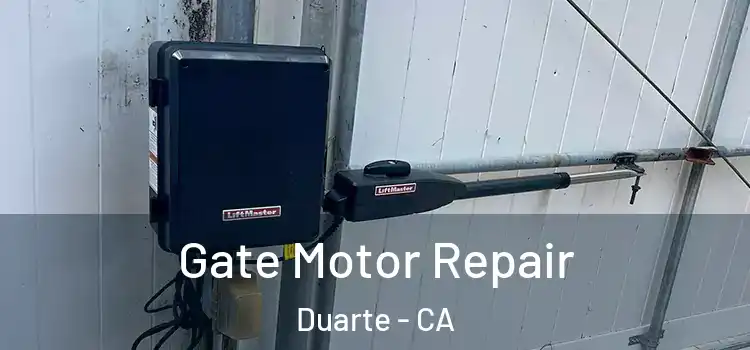 Gate Motor Repair Duarte - CA