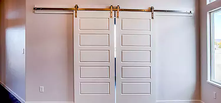 Glass Barn Door with Installation Hardware Kit Duarte