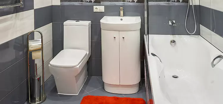 Hansgrohe Shaving Mirror Duarte
