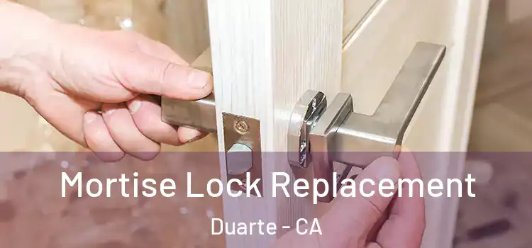 Mortise Lock Replacement Duarte - CA