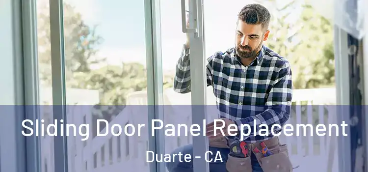  Sliding Door Panel Replacement Duarte - CA